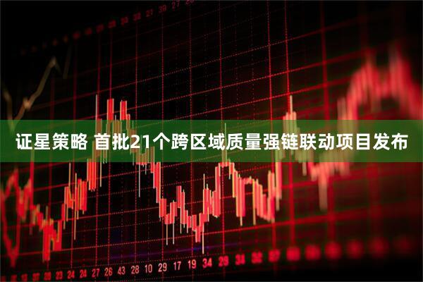 证星策略 首批21个跨区域质量强链联动项目发布